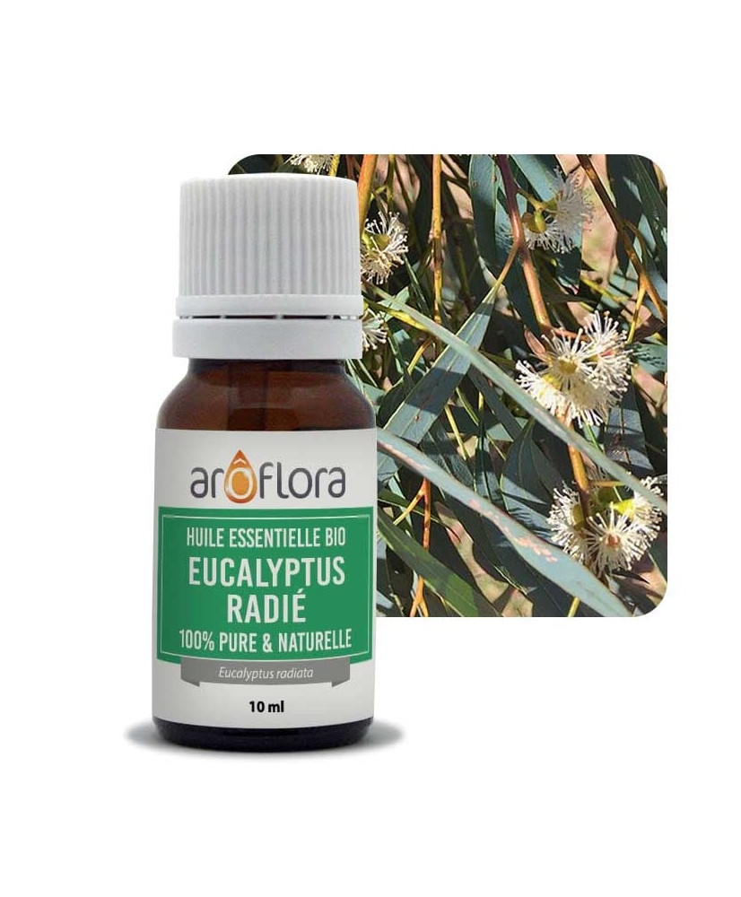 Huile essentielle BIO Eucalyptus radié Aroflora 10 ml